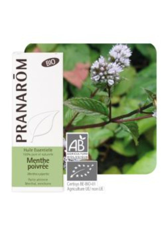 PRANAROM Pranarôm Organic Peppermint Essential Oil (Mentha x Piperita) 30ml - Image 2
